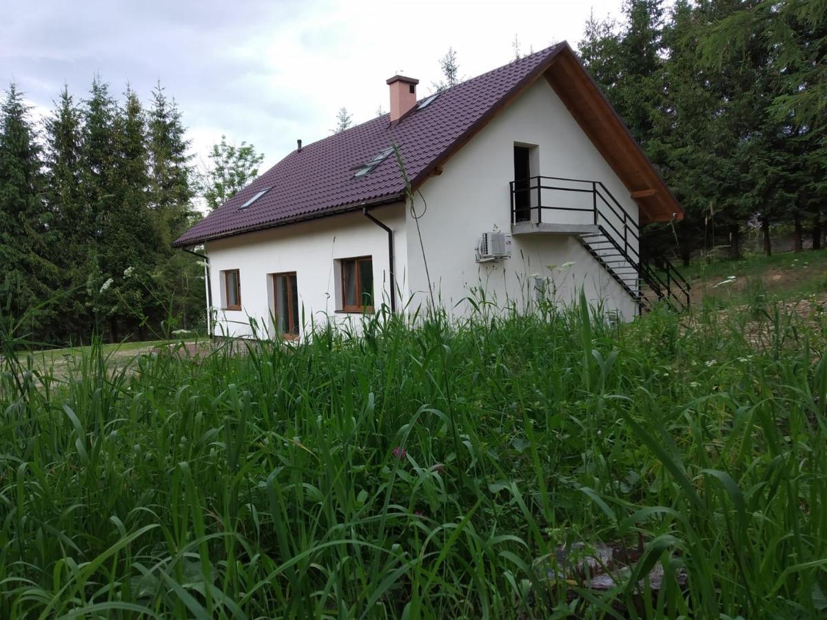 Villa Przytulny Zakatek à Wetlina Extérieur photo
